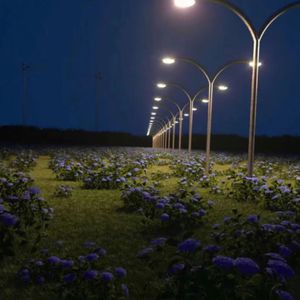 国产三级成年视频网站
