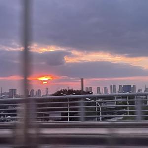 国产三级成年视频网站
