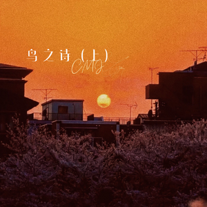 国产三级成年视频网站
